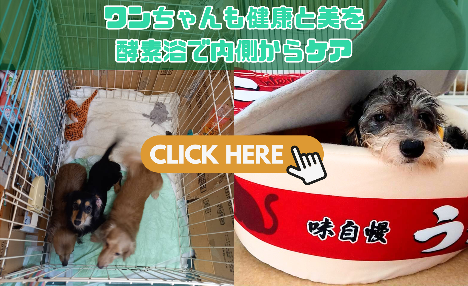 ワンだぁハウスラン - アニマルナビ