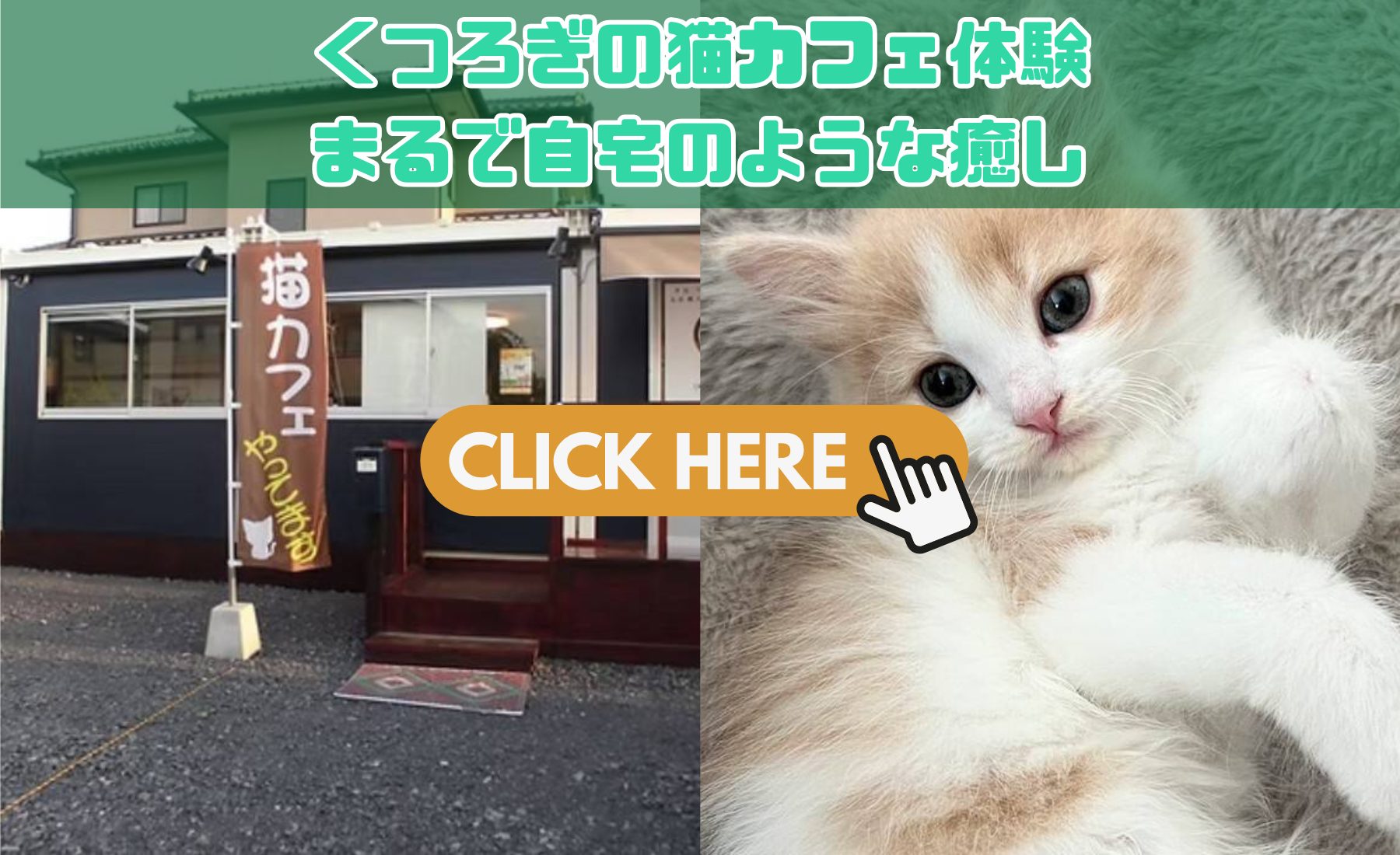 猫日和 - アニマルナビ